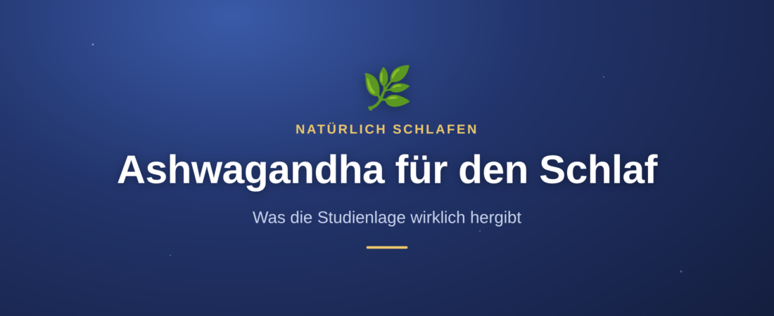 Ashwagandha für den Schlaf: was dran ist 1 Ashwagandha für den Schlaf: was dran ist