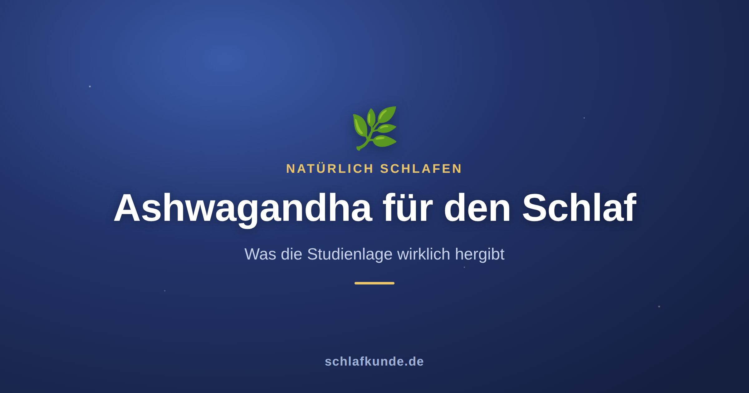 Ashwagandha für den Schlaf: was dran ist