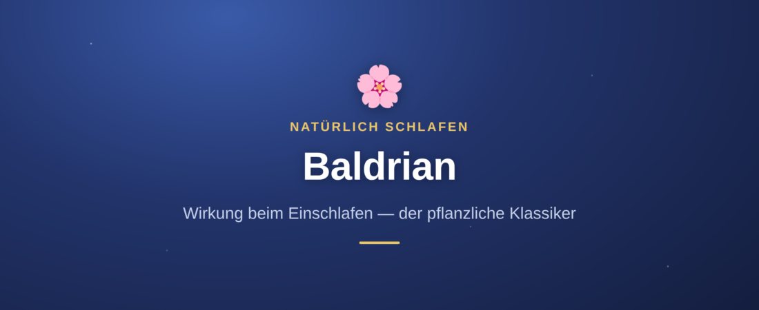 Baldrian: Wirkung beim Einschlafen 1 Baldrian: Wirkung beim Einschlafen